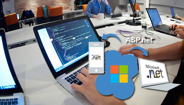 asp net application development india