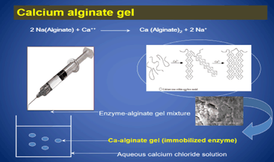 microbial cellulases production applications and challenges