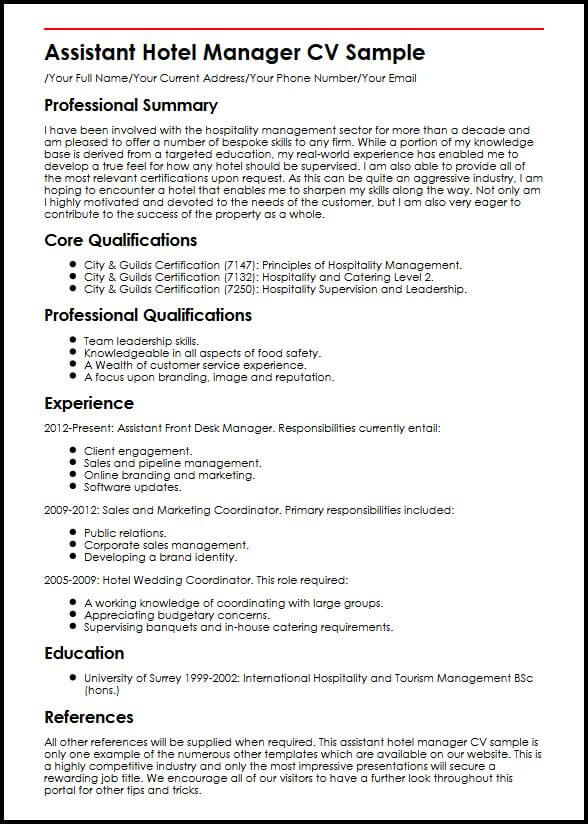 application systems manager job description
