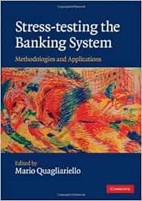 stress testing the banking system methodologies and applications