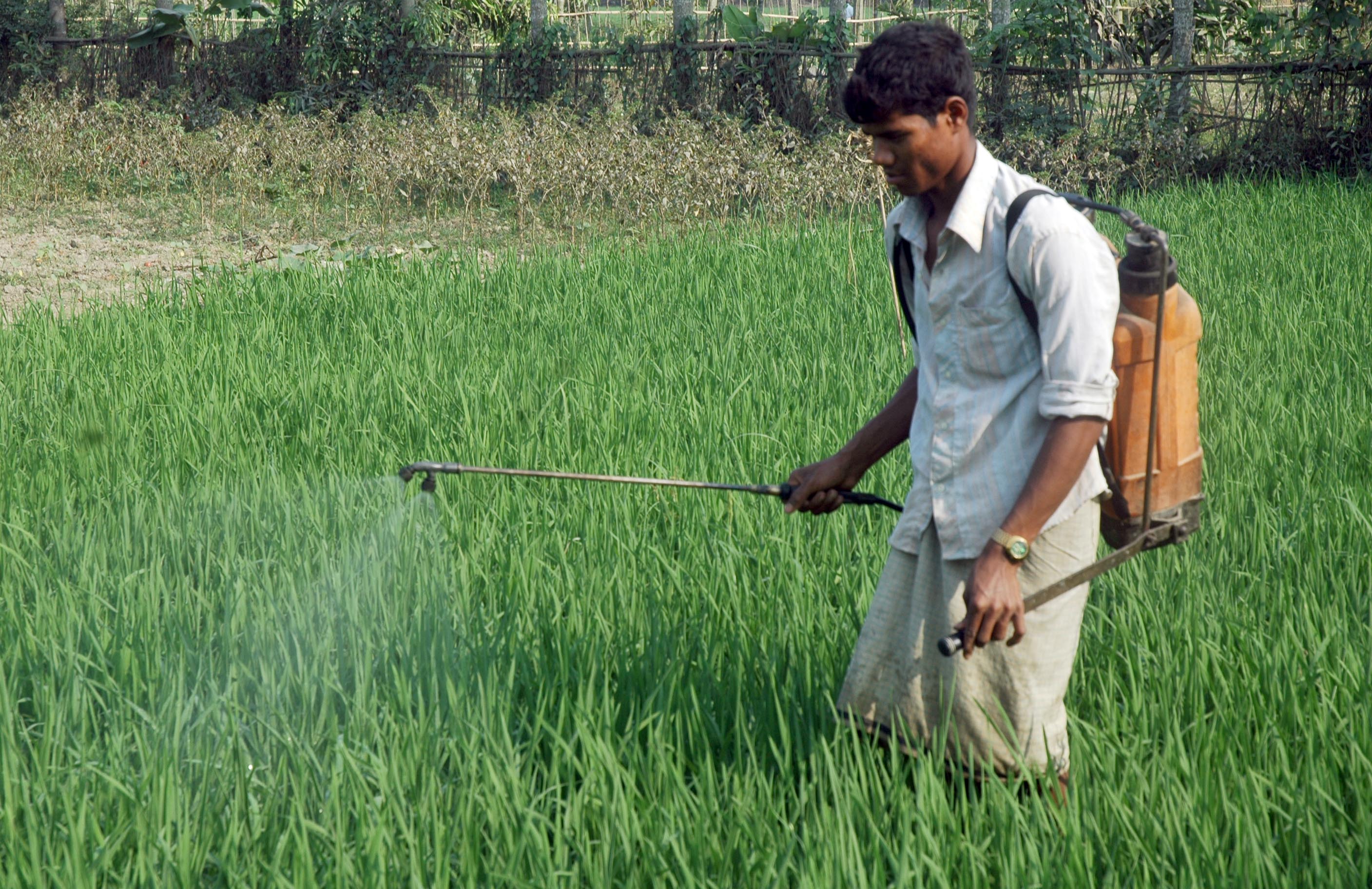 application of chemistry in agriculture