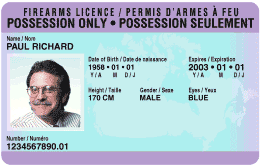 canadian international driving permit application form